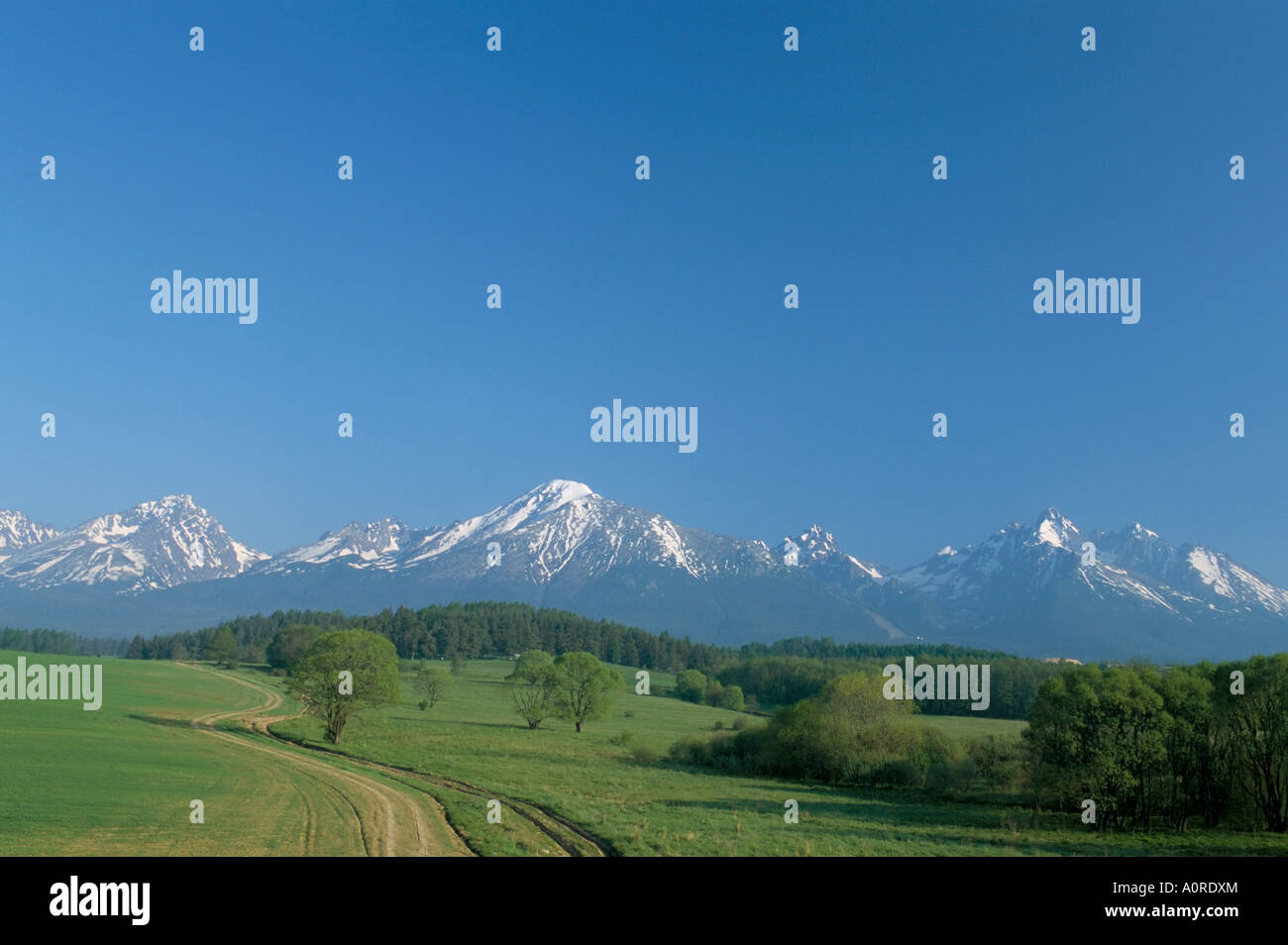Hohe Tatra-Gebirge in der Nähe von Poprad-Slowakei-Europa Stockfoto