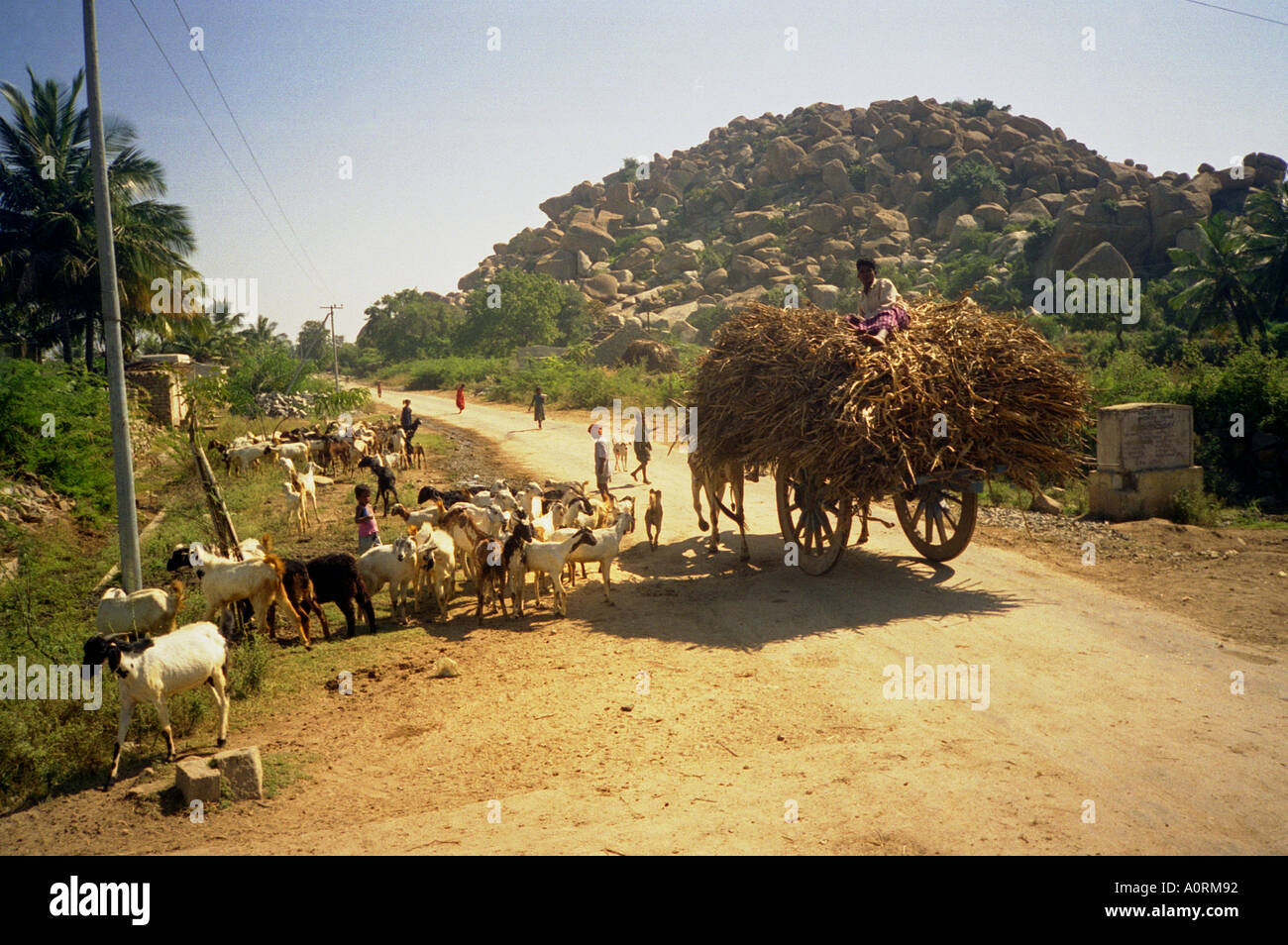 Schönheit exotische Kinder Ziege Felsen Land Straße ländliche Tradition Maultier Wagen Mann gehen Hügel Karnataka Provinz Indien in Südasien Stockfoto