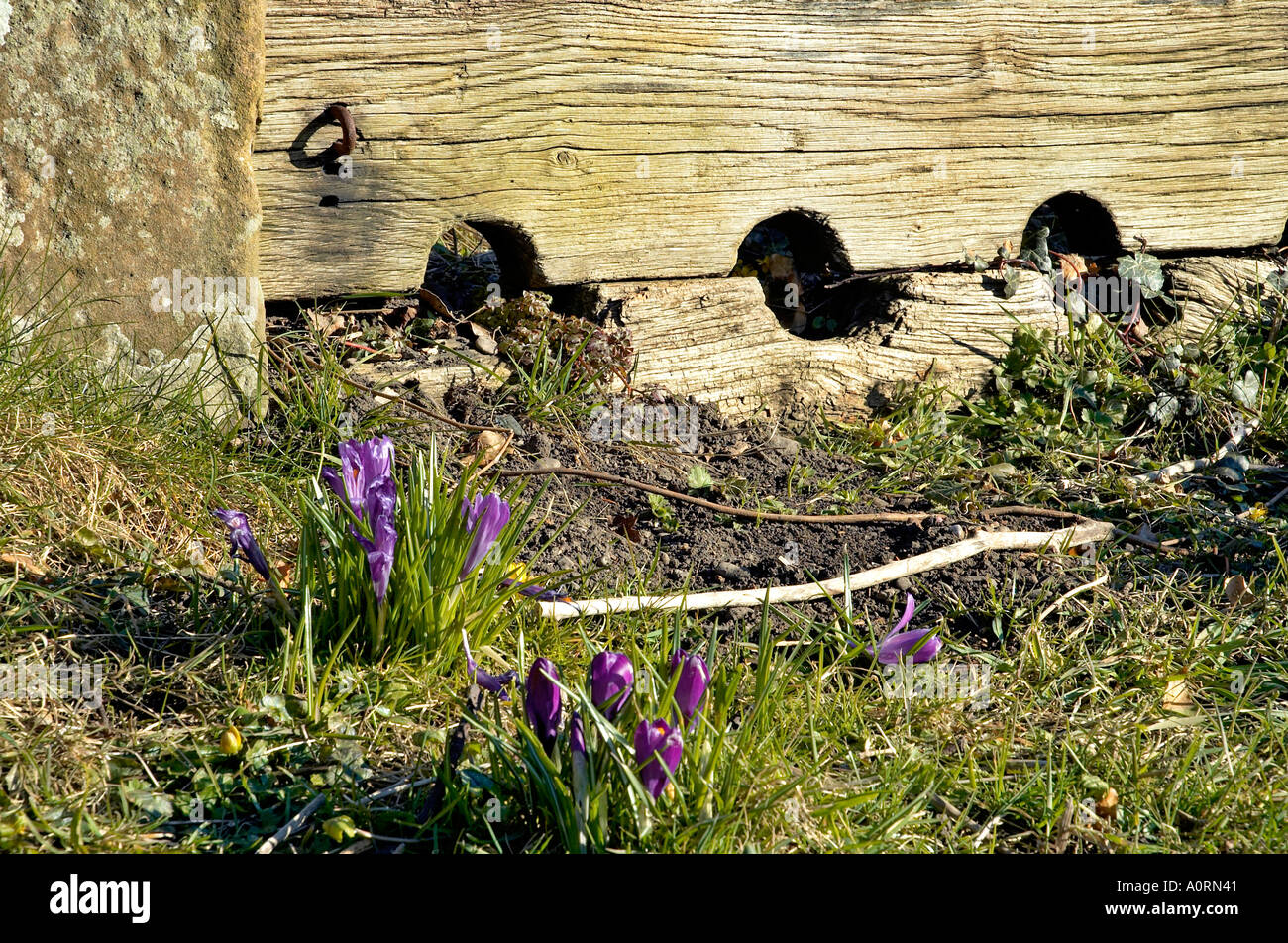 Mittelalterliche Bestände Stockfoto