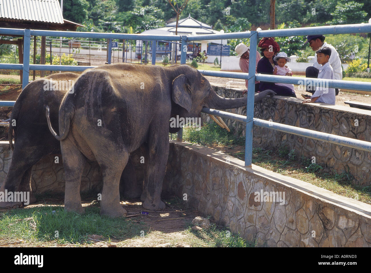 Kampot Zoo Kambodscha Stockfoto