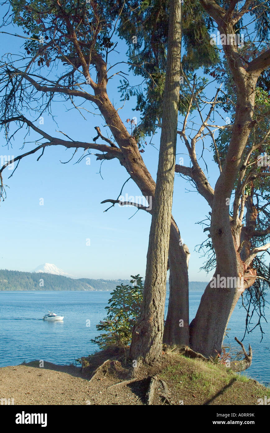 Gig Harbour Washington Zustand Vereinigte Staaten von Amerika Nordamerika Stockfoto
