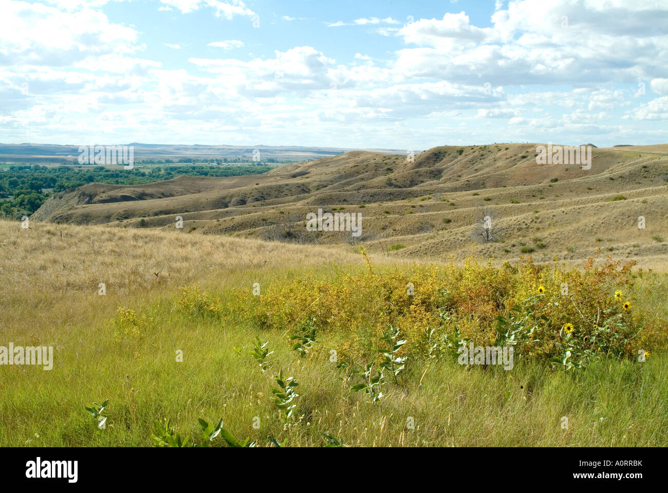 Little Big Horn Montana Vereinigte Staaten von Amerika Nordamerika Stockfoto