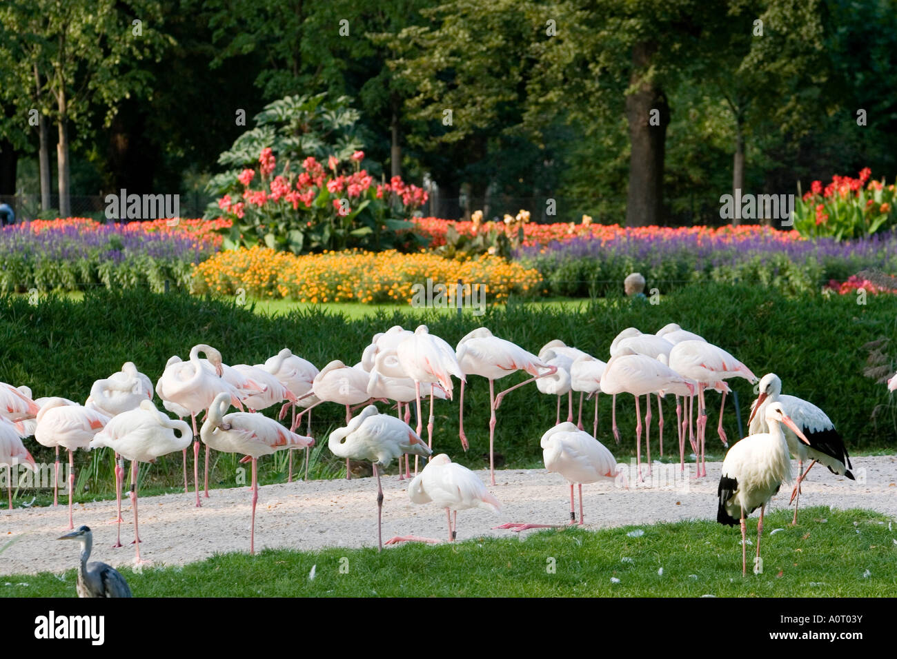 garten kaufen stuttgart corneliusvanderbiltsboot