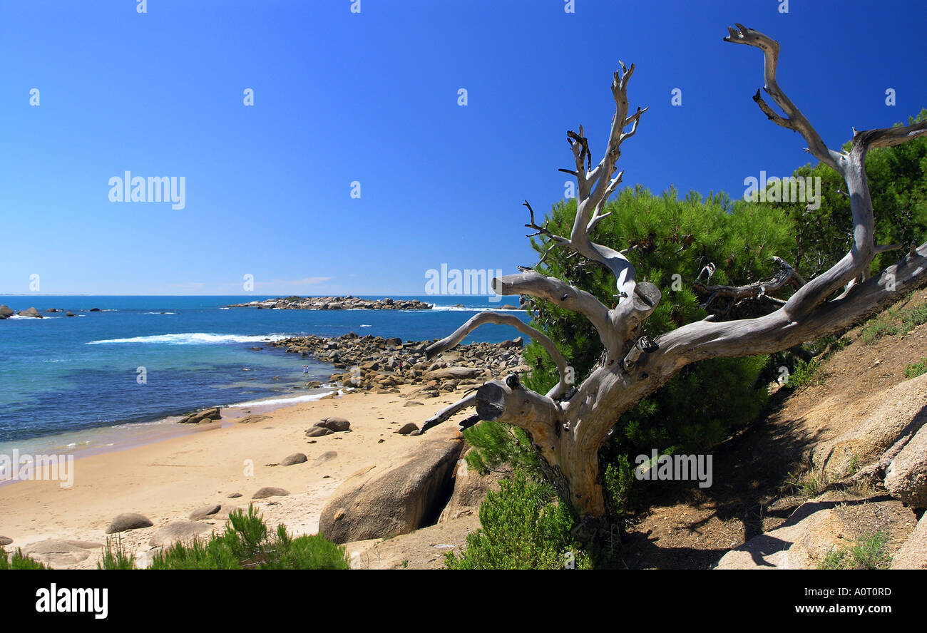 Horseshoe Bay Wellenbrecher Stockfoto