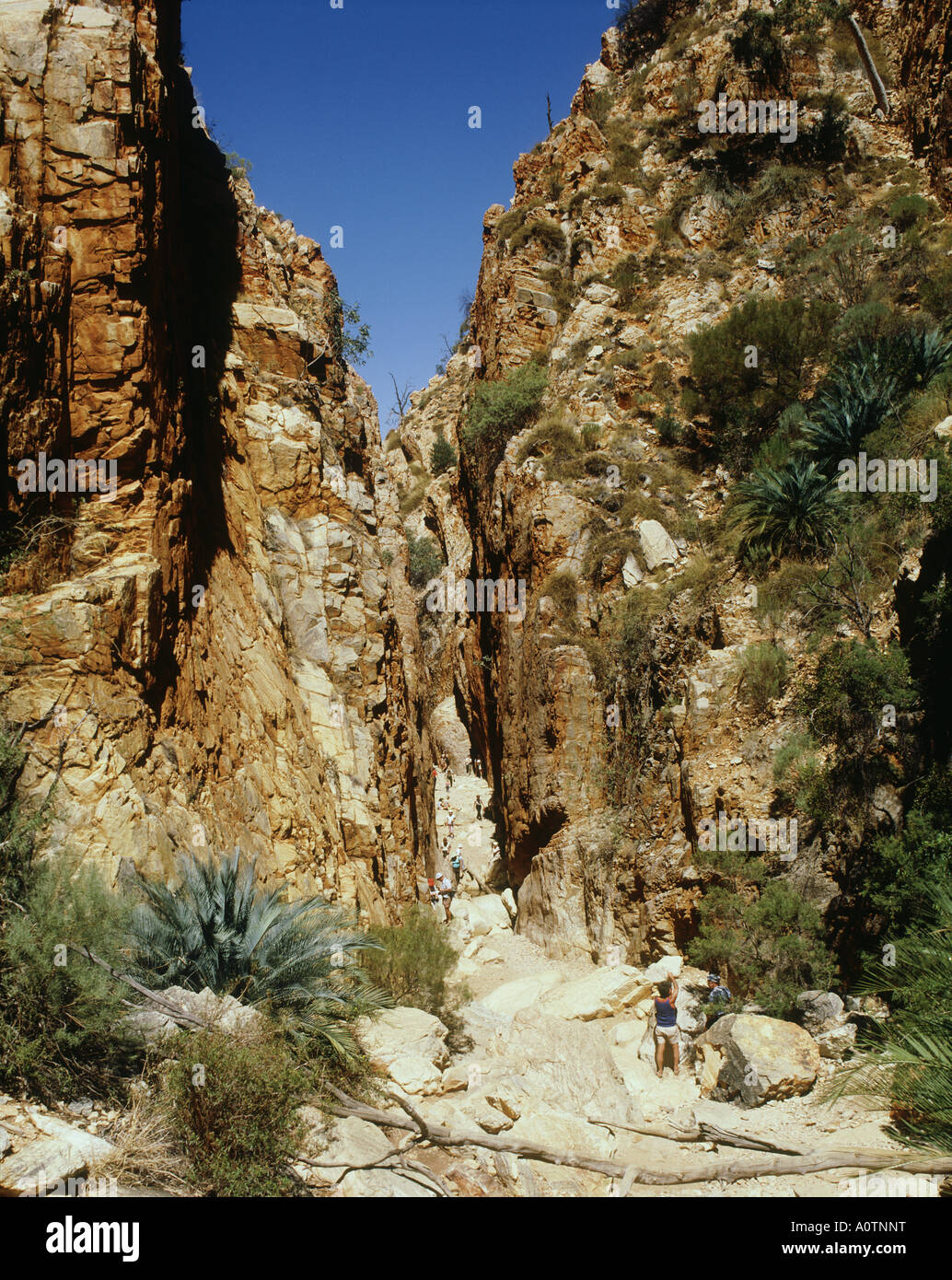 Alice Springs. Stockfoto