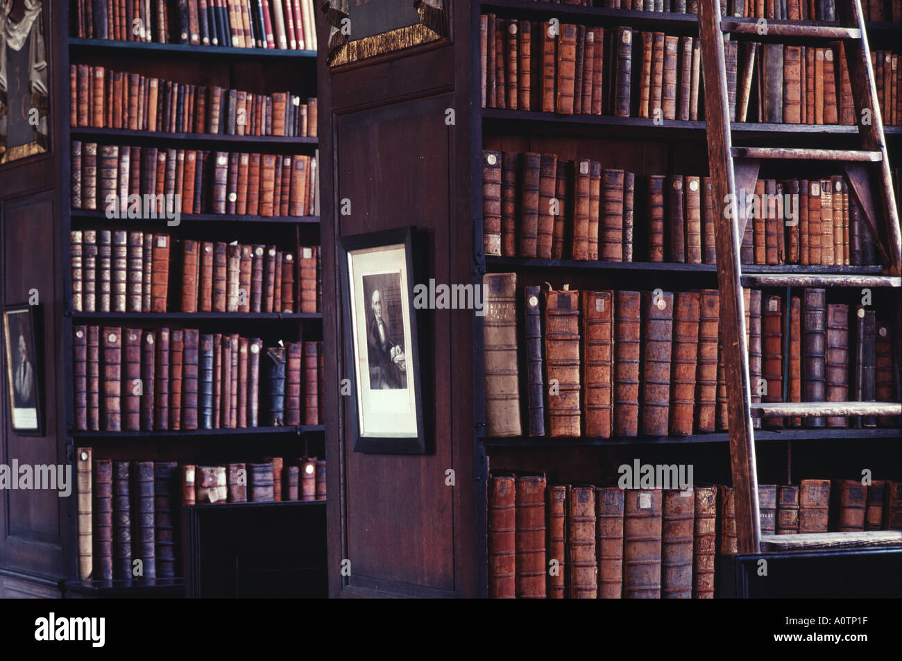 Alte Leder gebunden Bücher Marsh Bibliothek Dublin Irland Stockfoto
