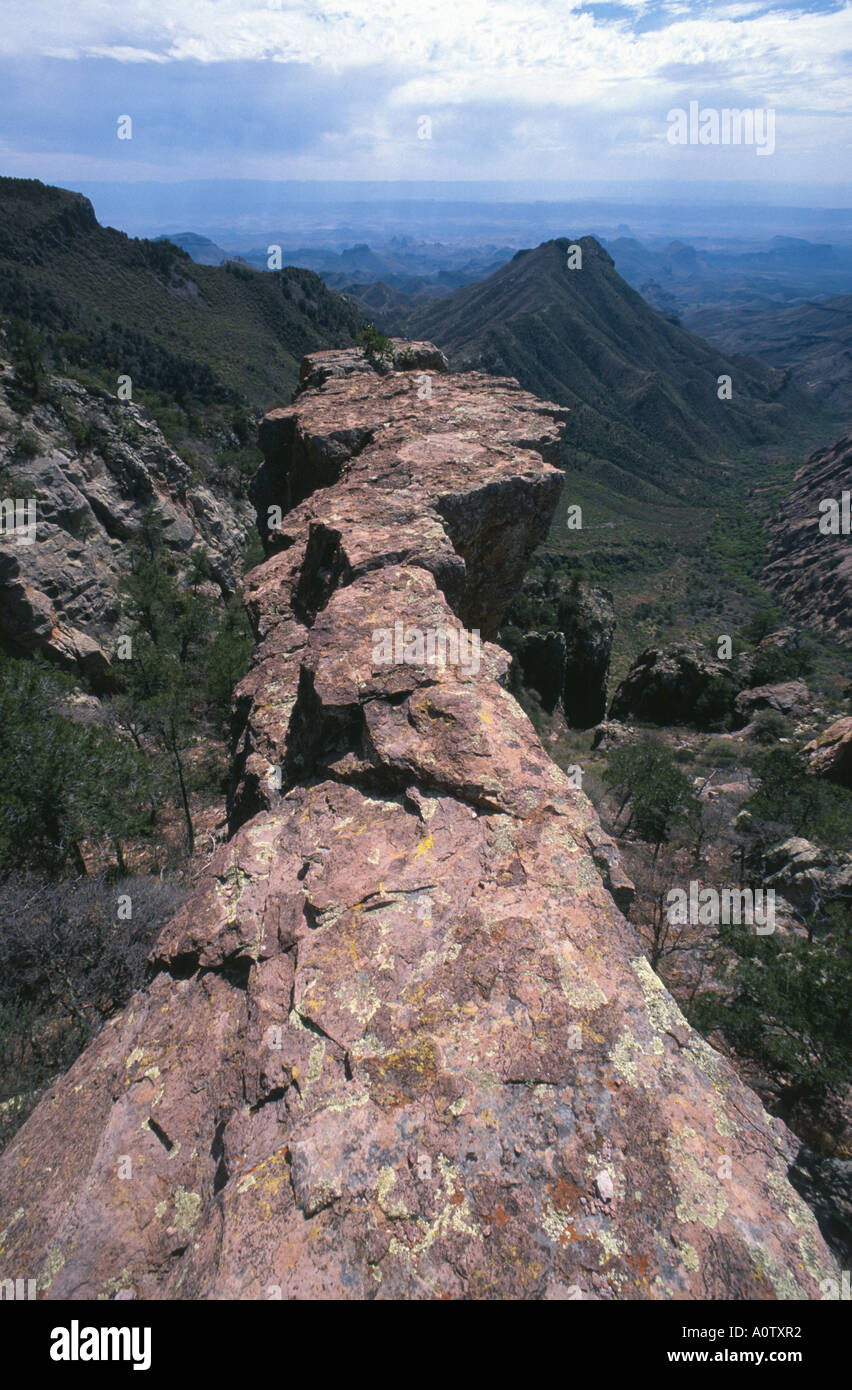 Schmale Felswand in Big Bend Nationalpark, Texas, USA. Stockfoto