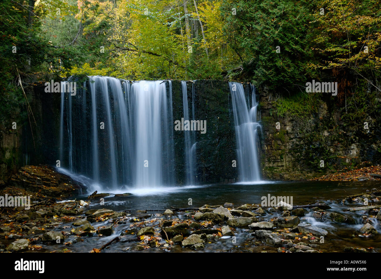 Hoggs fällt am Boyne-Fluss Niagara Escarpment Ontario im Herbst Stockfoto