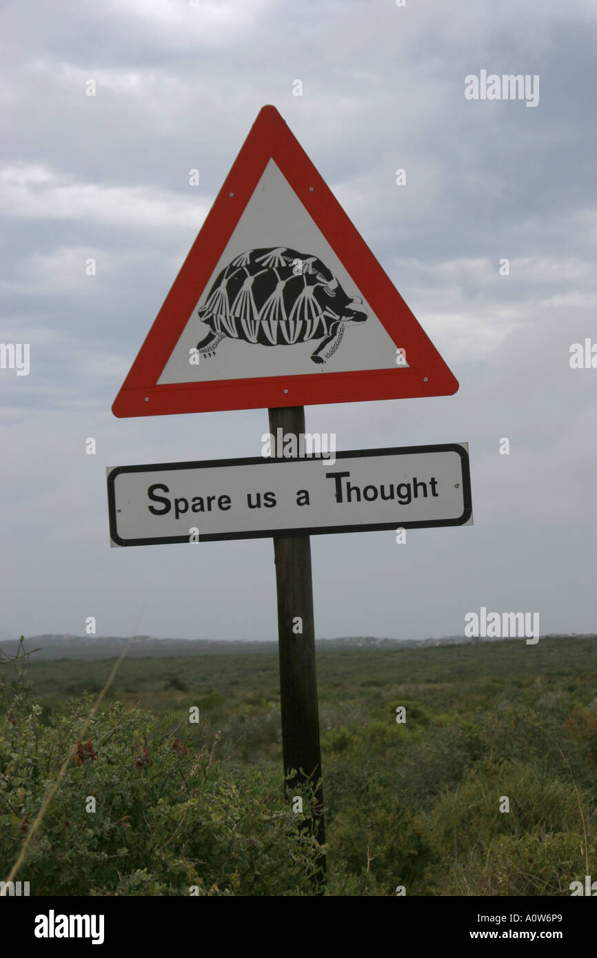 Warnschild Schildkröte kreuzenden Straße-Cape Town-Südafrika Stockfoto