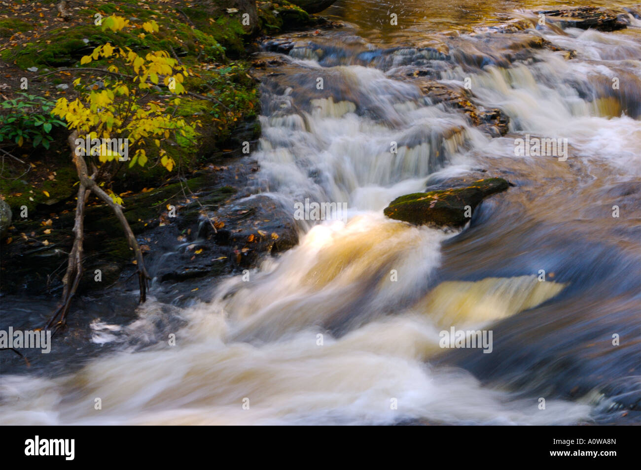 Bushkill Falls, Pennsylvania, USA Stockfoto