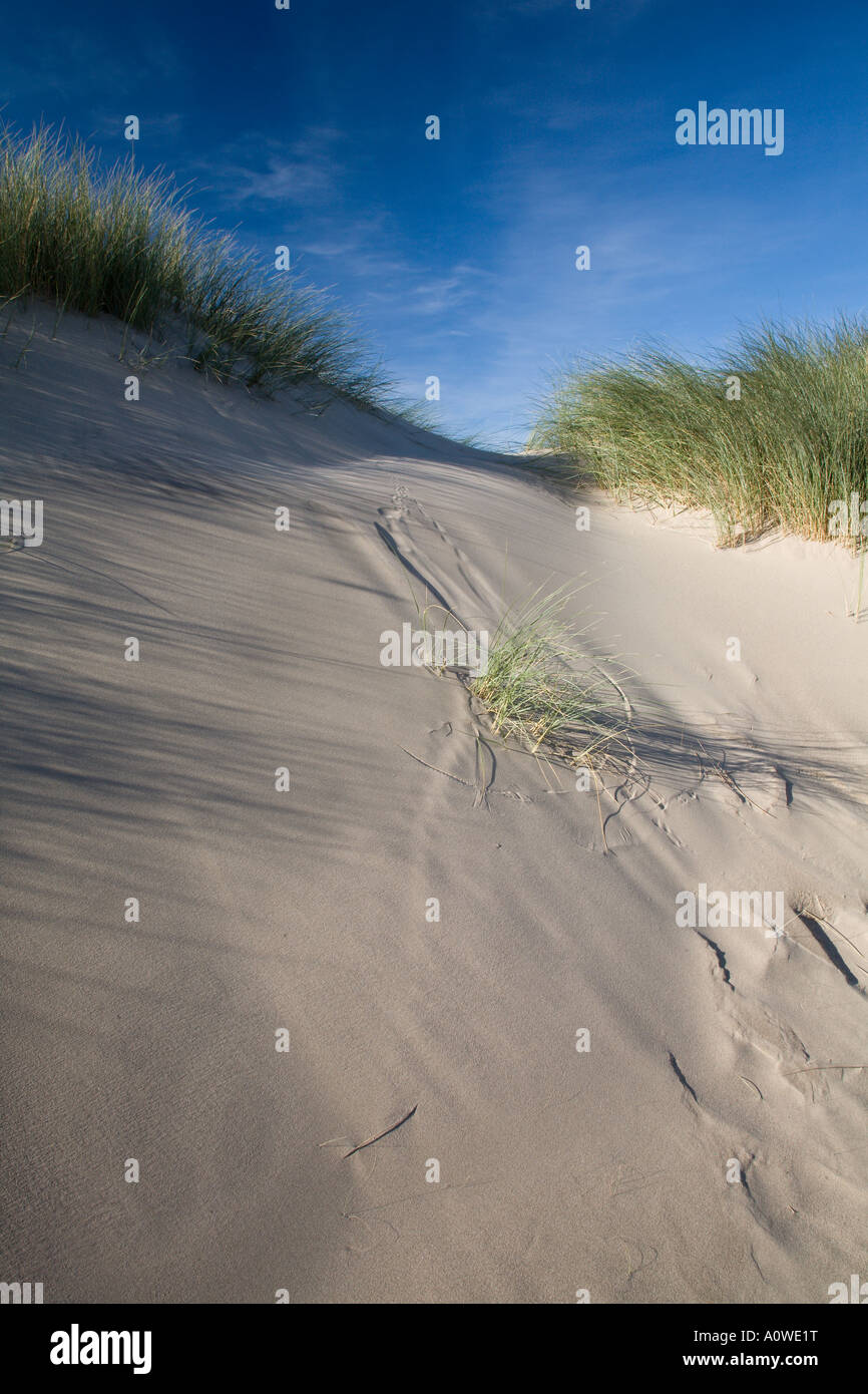 Dünen und Sandstrand nördlich von Borth Ceredigion Mitte Wales UK Stockfoto