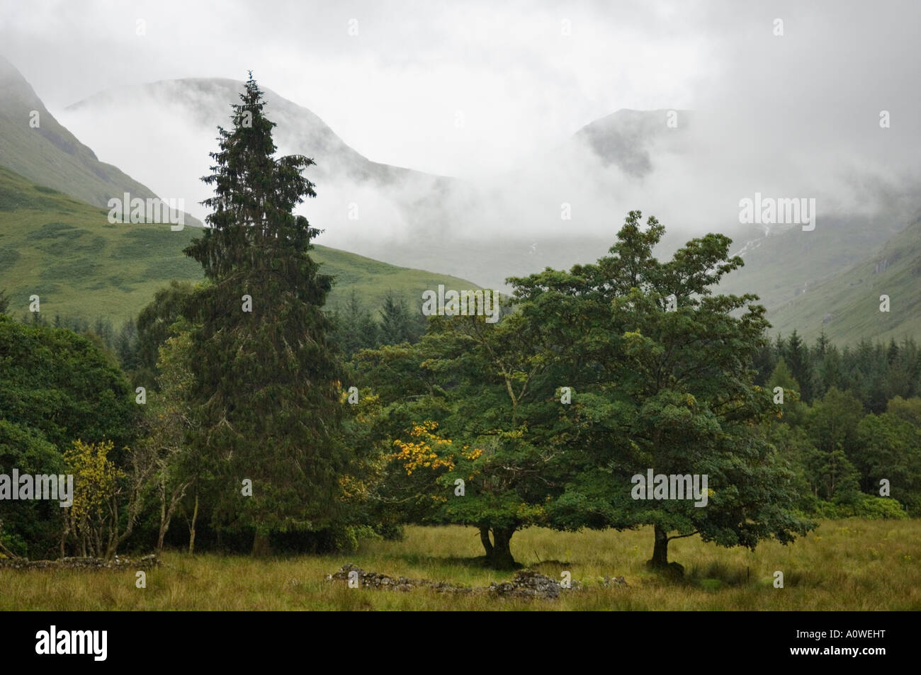 Nebel steigt in Bergen über Glen Etive in der Nähe von Rannoch Moor und Glen Coe, Schottland Stockfoto