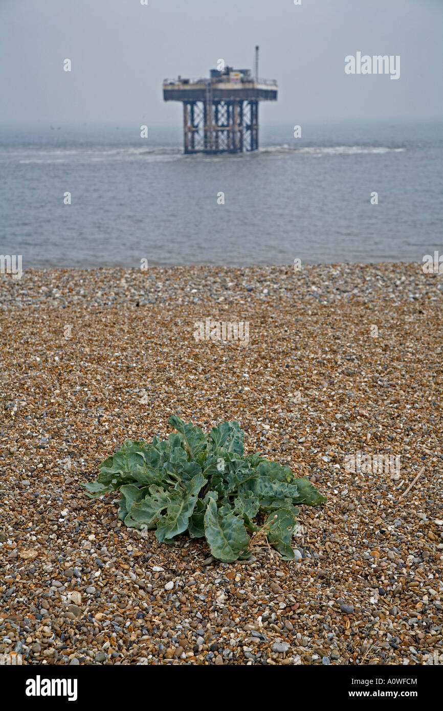 Sizewell Kühlmittel Wasser austritt, Leiston, Suffolk. Stockfoto