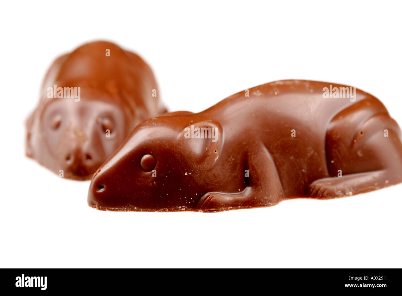 Schokoladenmäuse -Fotos und -Bildmaterial in hoher Auflösung – Alamy