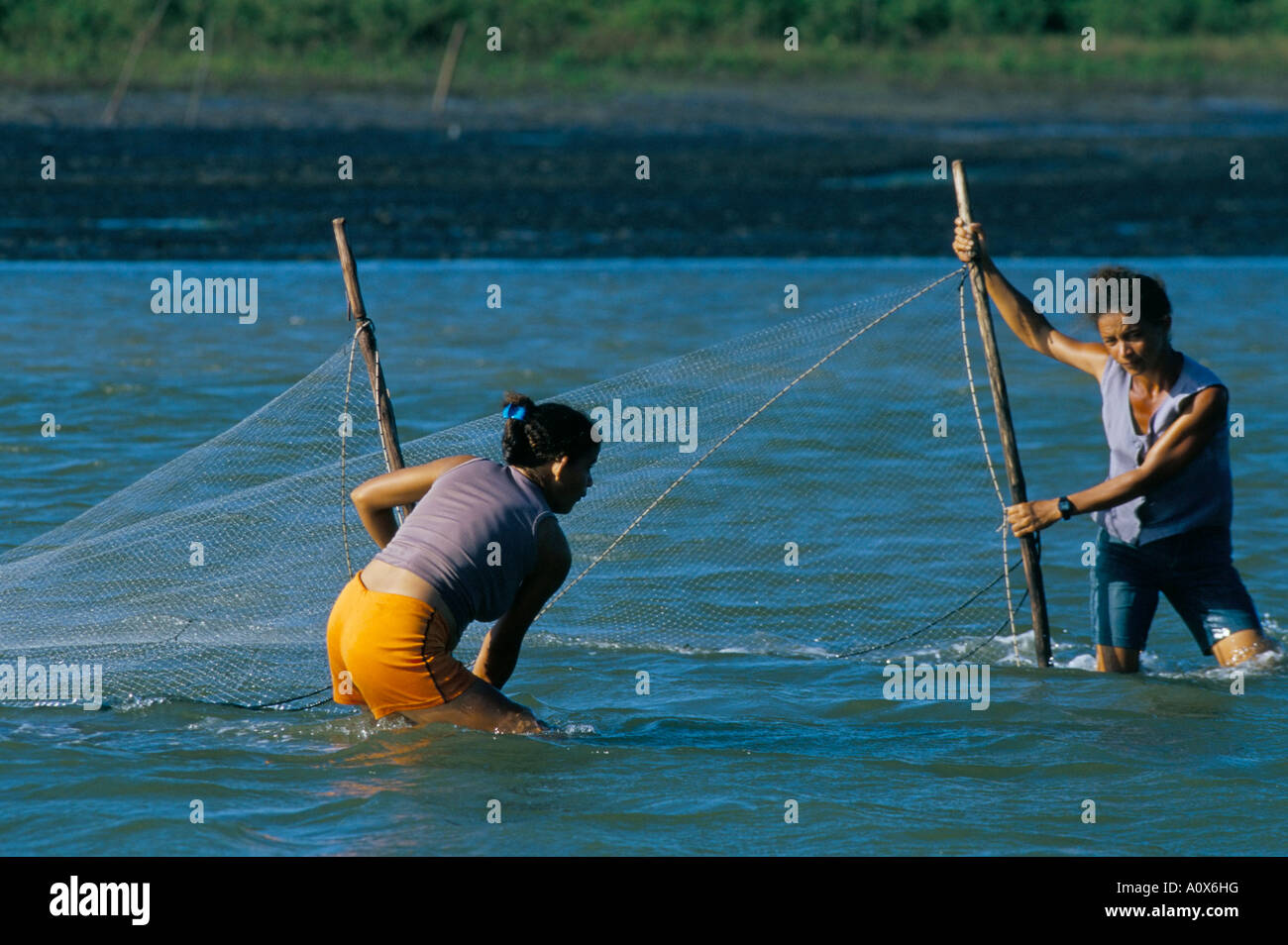 Frauen fangen Fische mit Netzen Parque Nacional Dos Lencois Maranhenses in der Nähe von Atins Lencois Maranhenses Brasilien Südamerika Stockfoto