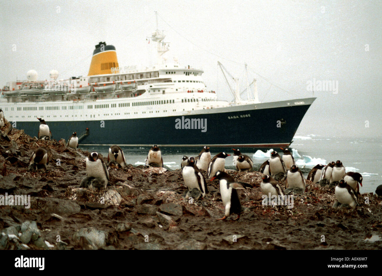 Chilenische Außenposten, Waterboat Punkt, Antarktis, Kinnriemen Pinguinkolonie Saga Rose Stockfoto