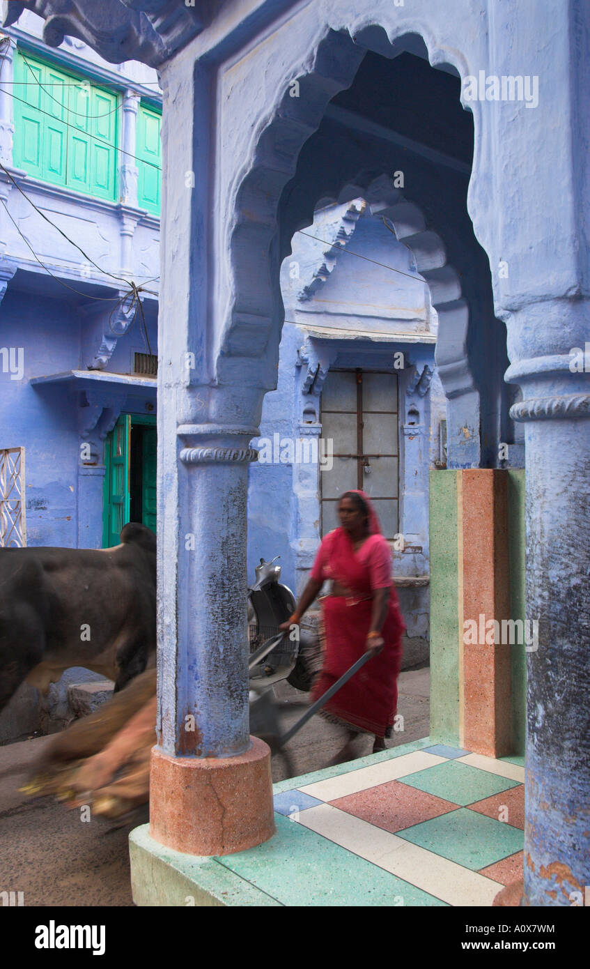 Indien Rajasthan Jodhpur die blaue Stadt alte Stadt weibliche Straßenkehrer schob einen Wagen auf der Straße, die durch typische blaue Haus gesehen Stockfoto