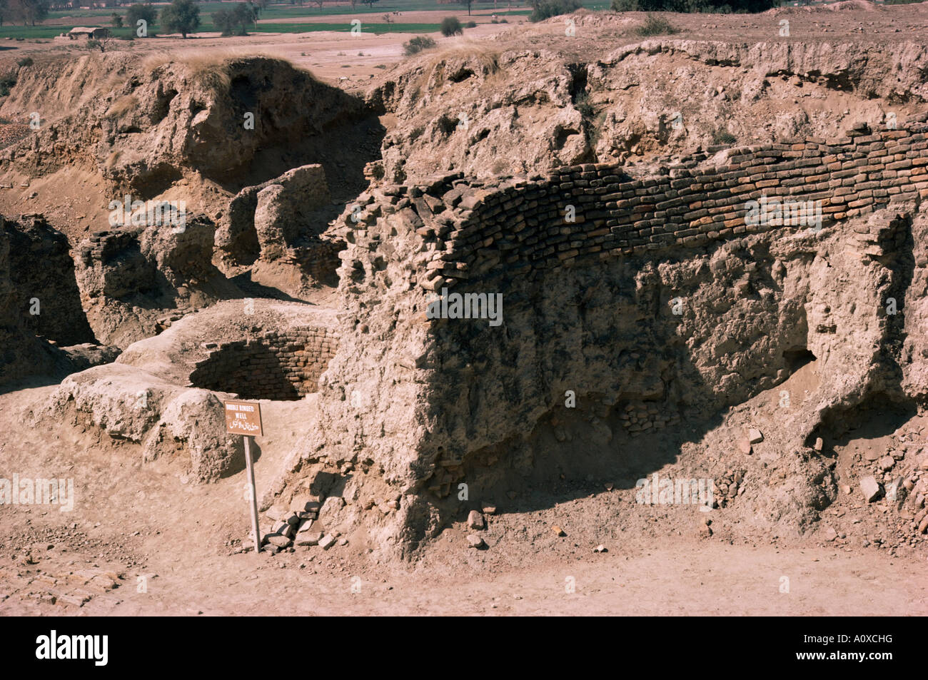 Die archäologische Stätte aus der Zeit zwischen 3000 und 1700 v. Chr. Harappa Indus Senke-Zivilisation Pakistan-Asien Stockfoto
