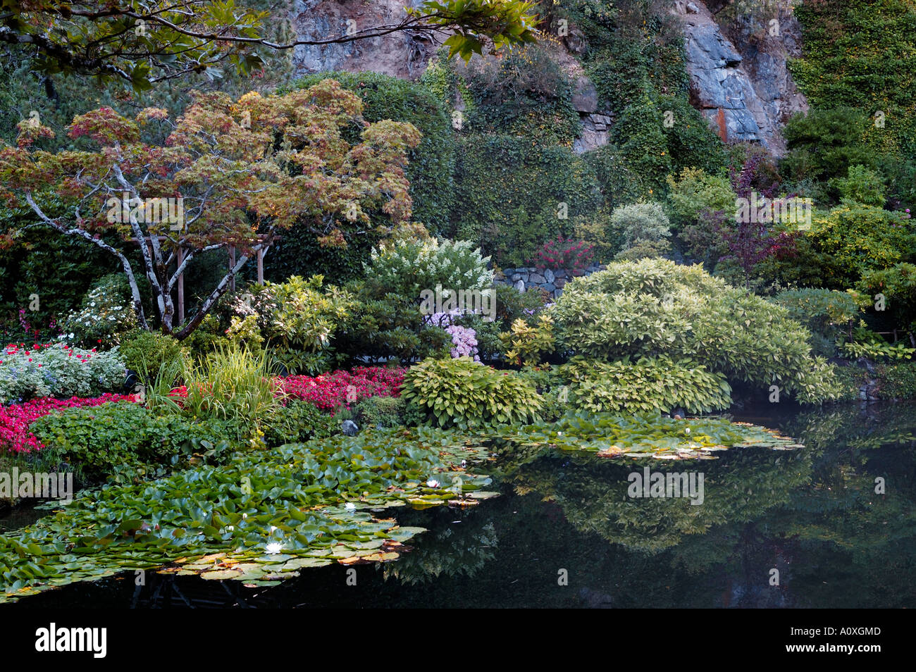 Teich und Steinbruch Wand im versunkenen Garten Butchart Botanical Gardens Vancouver Island BC Stockfoto