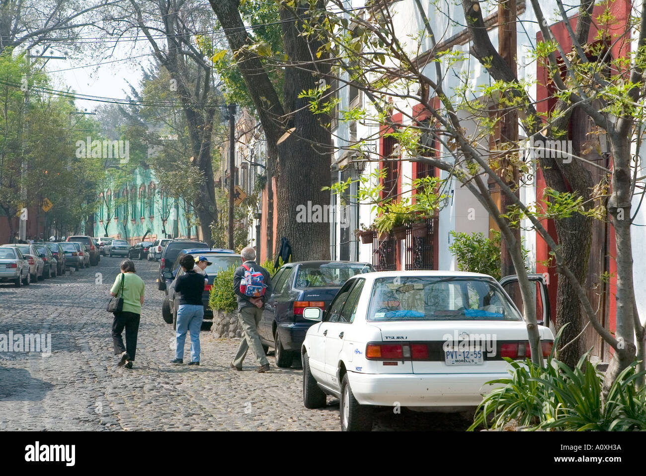 Schön gepflasterten Straßen und bunten Gebäude in San Angel Viertel von Mexiko-Stadt Stockfoto