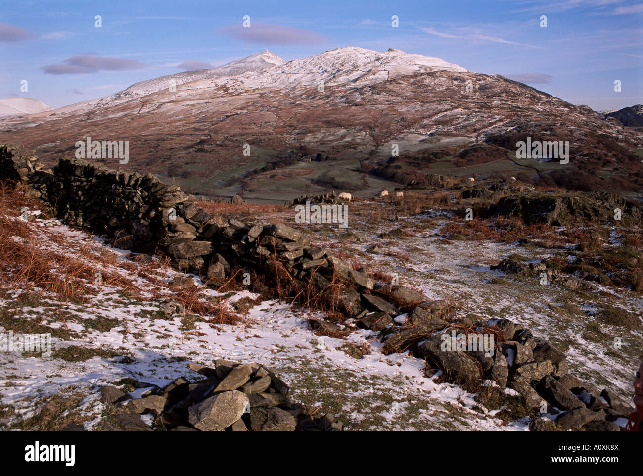 Die Hügel von Craig Wen und Yr Aran 747m in der Nähe von Mount Snowdon Snowdonia National Park Wales Großbritannien Europa Stockfoto