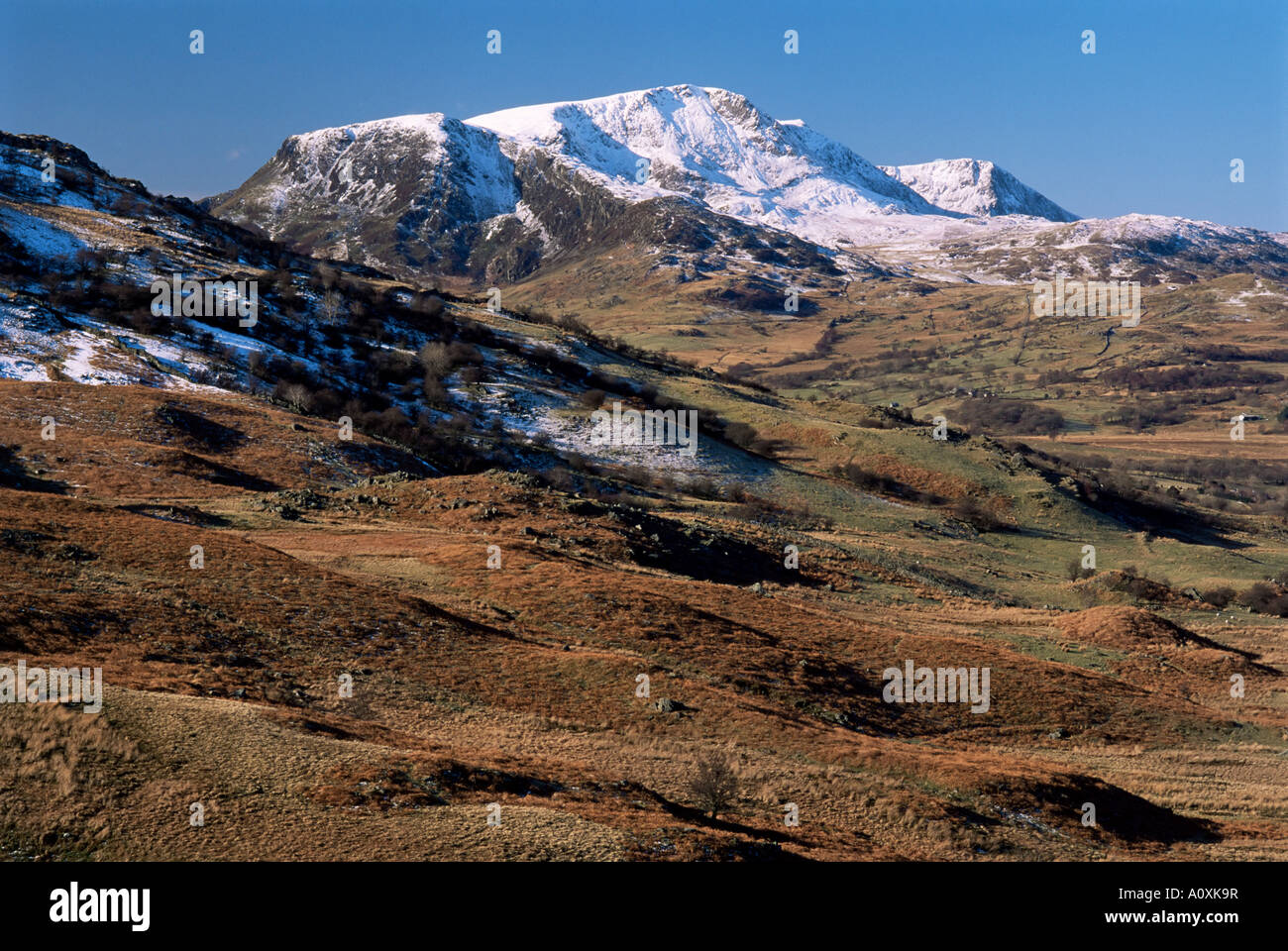 Cadair Idris Cader Idris Mountain Reserve Snowdonia National Park Wales Großbritannien Europa Stockfoto