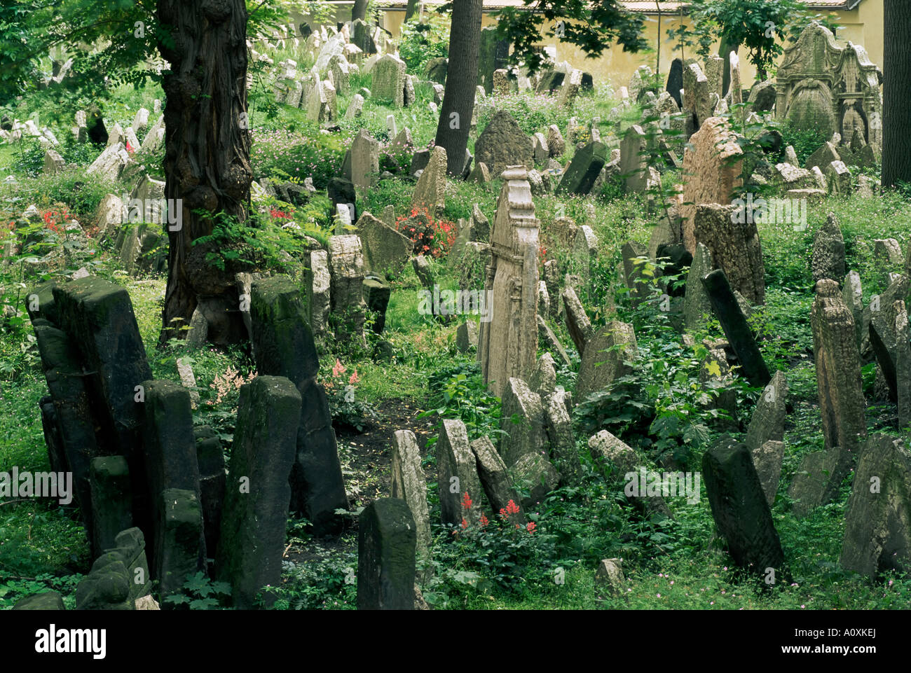 Alter jüdischer Friedhof Prag Tschechische Republik Europa Josefstadt (Josefov) Stockfoto