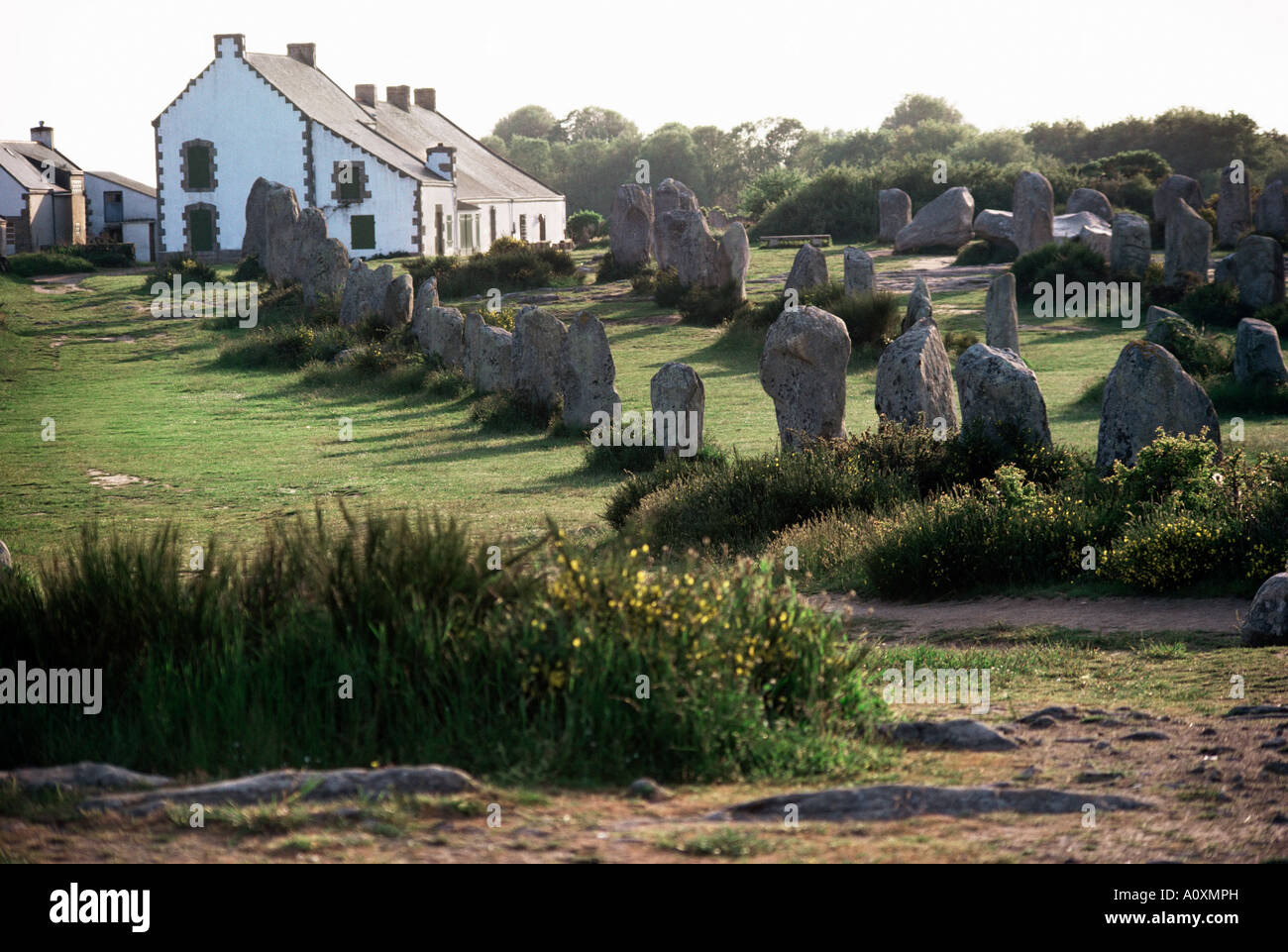Linien der Menec Carnac Bretagne Frankreich Europa Stockfoto