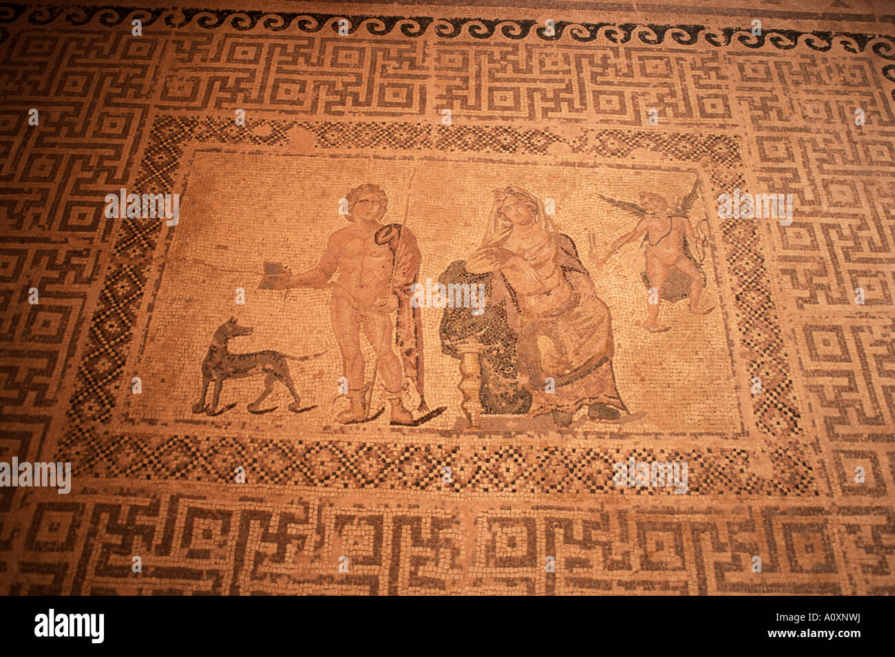 Mosaik Haus des Dionysos Paphos Zypern Europa Stockfoto