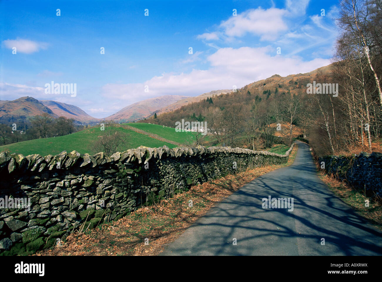 Weißer Moos gemeinsamen Rydal Seenplatte Cumbria England Großbritannien Europa Stockfoto