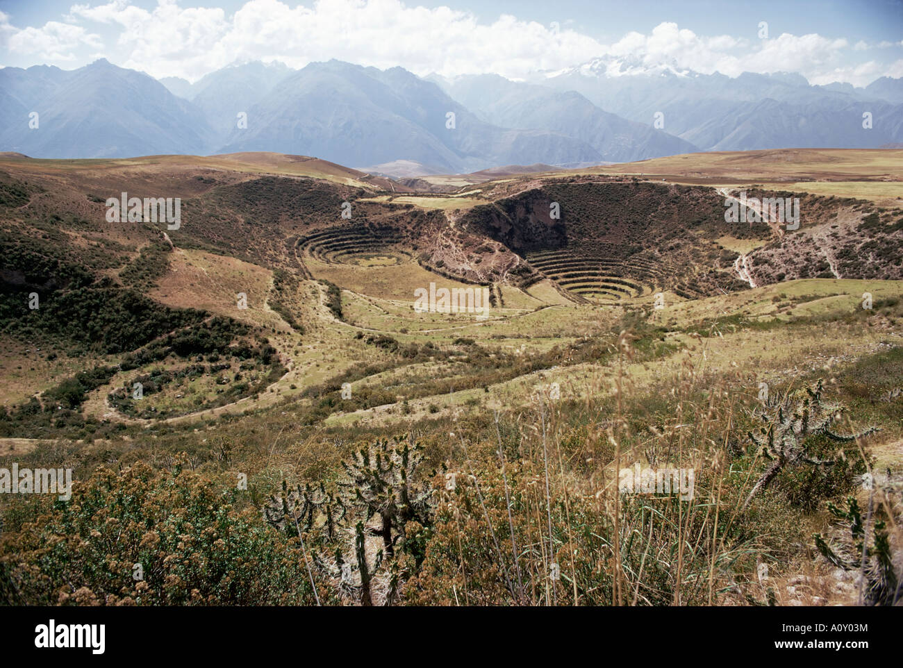 Vernetzung von Terrassen in natürliche Landform Cuzco Moray Peru Südamerika Stockfoto