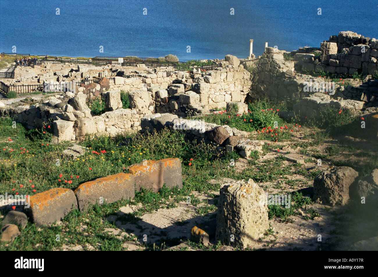 Tharros punischen und römischen Ruinen der Stadt 730 v. Chr. in der Nähe von Oristano Sardinien Italien Mittelmeer Europa von den Phöniziern gegründet Stockfoto