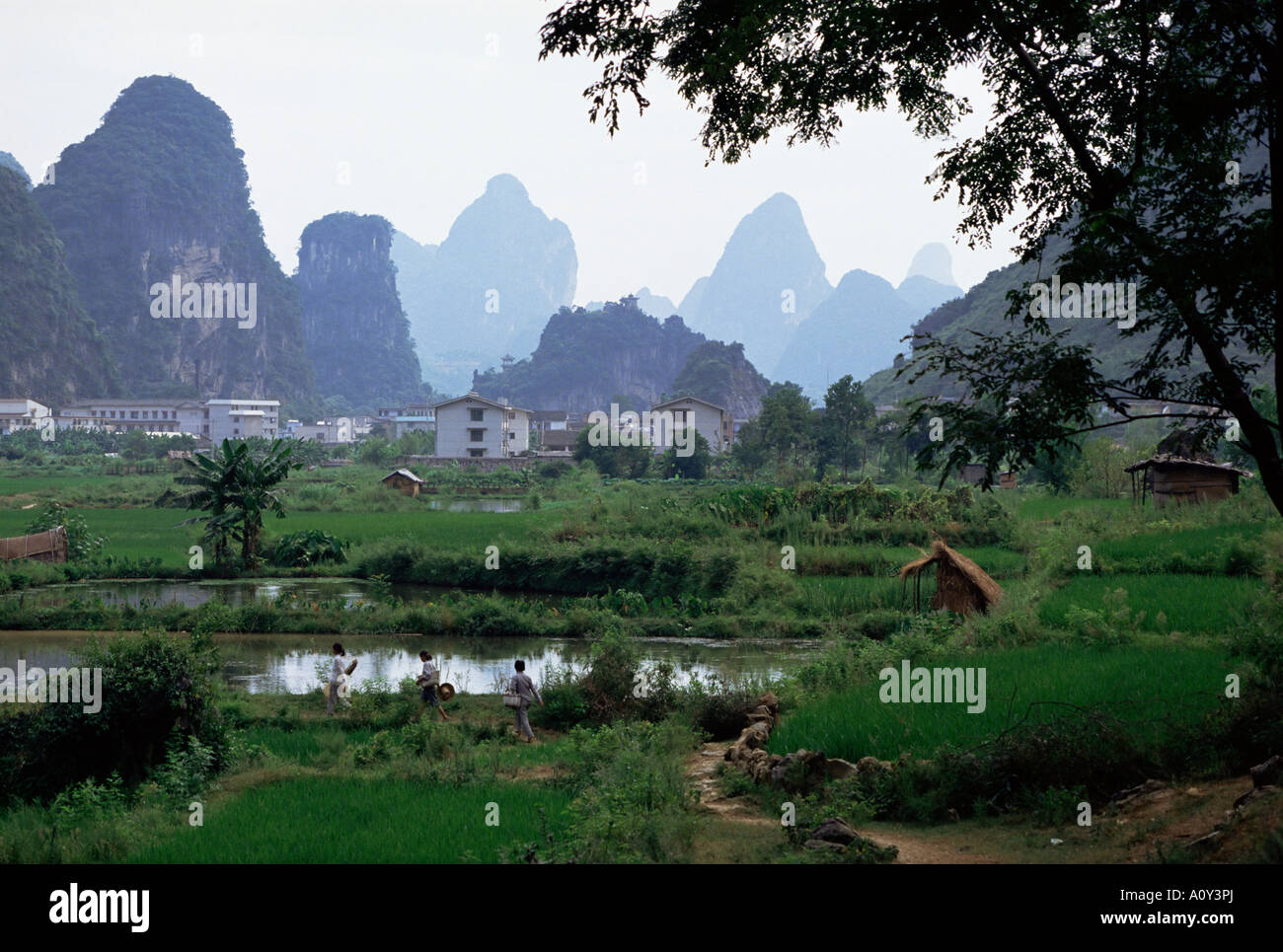 Ackerland am Rande der Stadt unter dem Kalkstein erhebt sich Yangshuo Guangxi China Asien Stockfoto