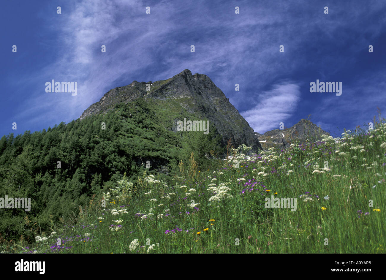 Landschaft von Gressoney Saint Jean Valle d Aosta Italien Stockfoto