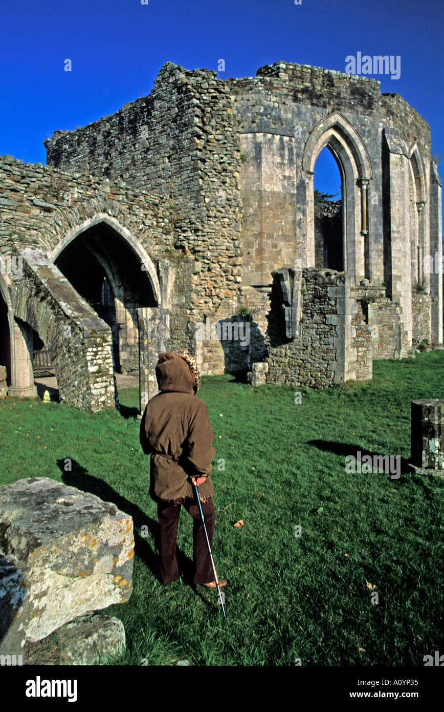 Margam Landschaftspark Wales UK Großbritannien Stockfoto