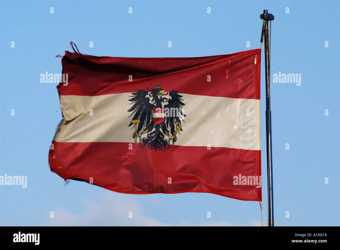 Österreichische Flagge mit Biheaded Adler-emblem Stockfoto