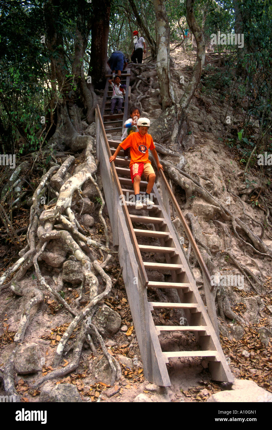 Touristen, Treppen, Tempel IV, Tikal, Tikal National Park, El Petén, El Petén Abteilung, Guatemala, Mittelamerika Stockfoto