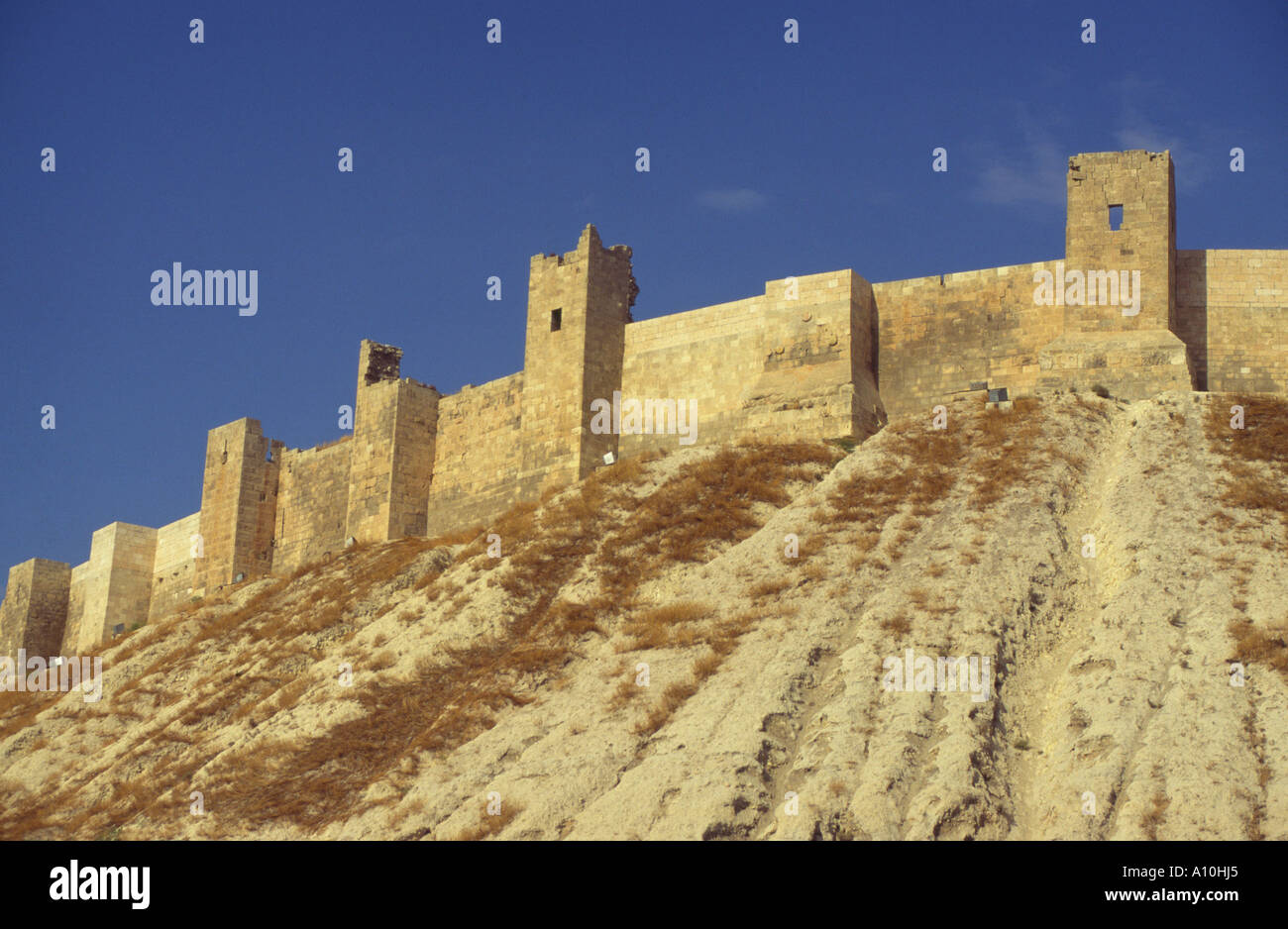 Syrien Allepo Citadelle Ansicht der Wände aus der Ferne mit Wassergraben in frgd Stockfoto