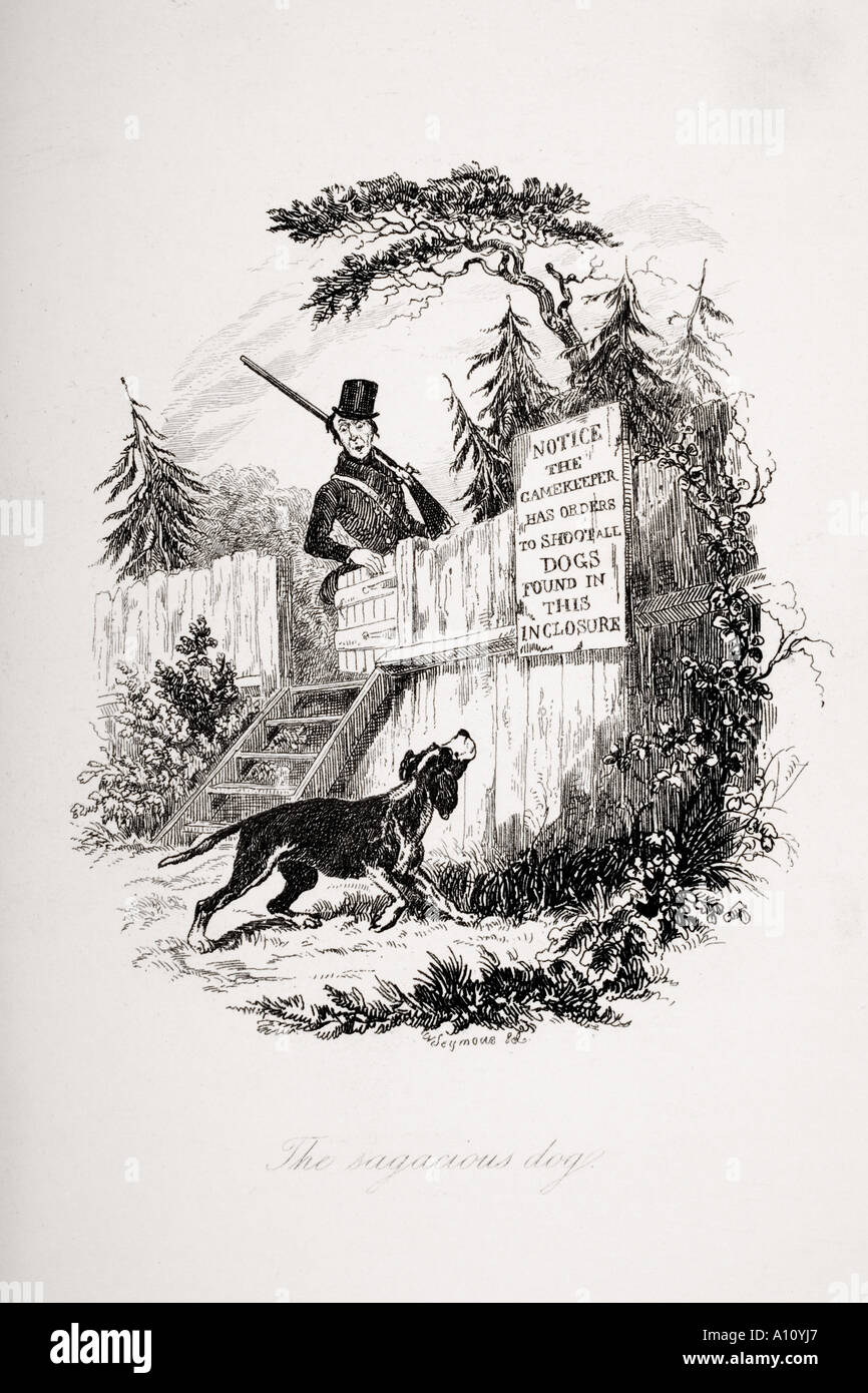 Der kluge Hund.  Illustration von Robert Seymour von Charles Dickens Roman The Pickwick Papers Stockfoto