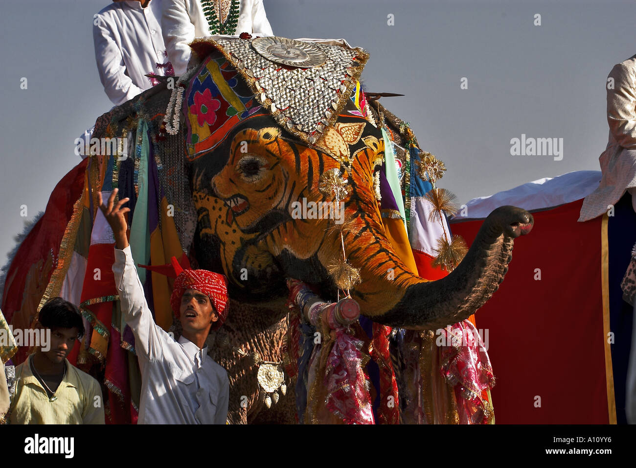 Elephant Decoration, Elephants Festival, Chaugan Stadium, Jaipur, Rajasthan, Indien, Asien Stockfoto