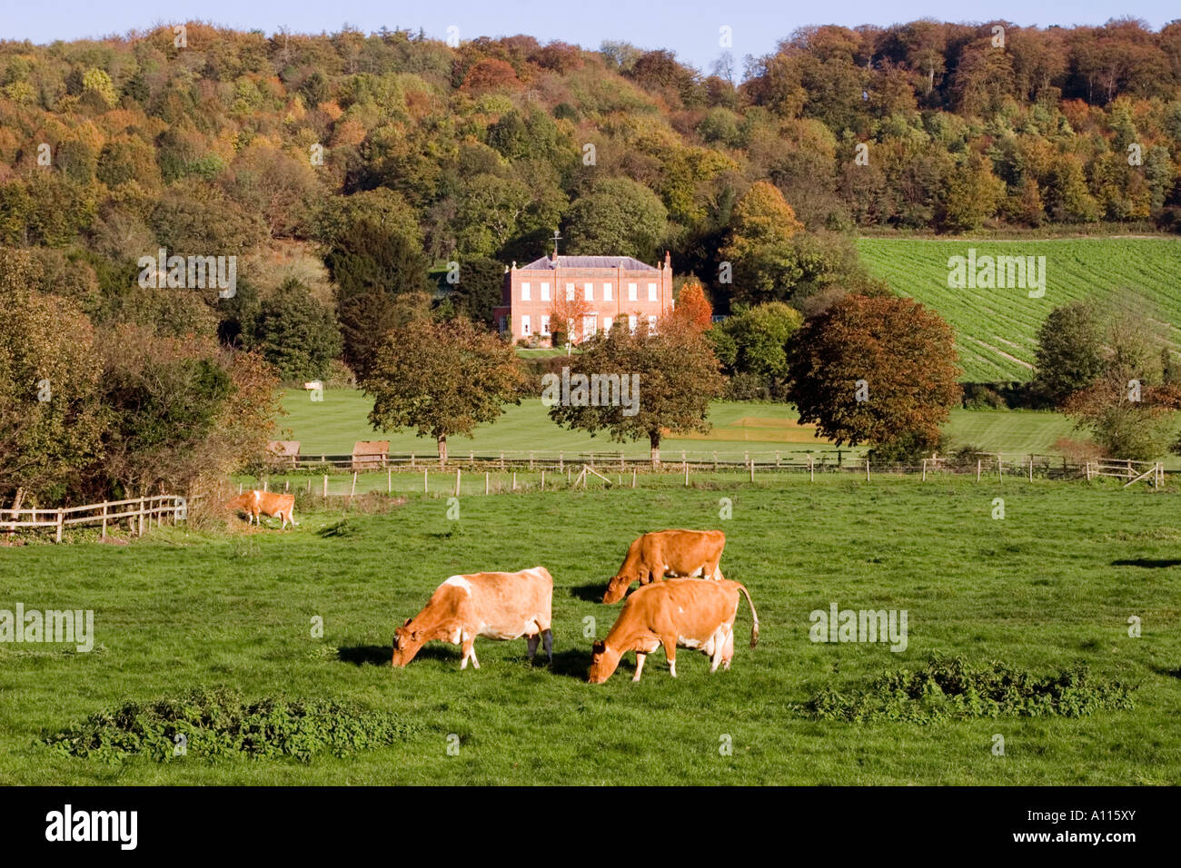 Hambleden Dorf - Thames Valley - Buckinghamshire Stockfoto