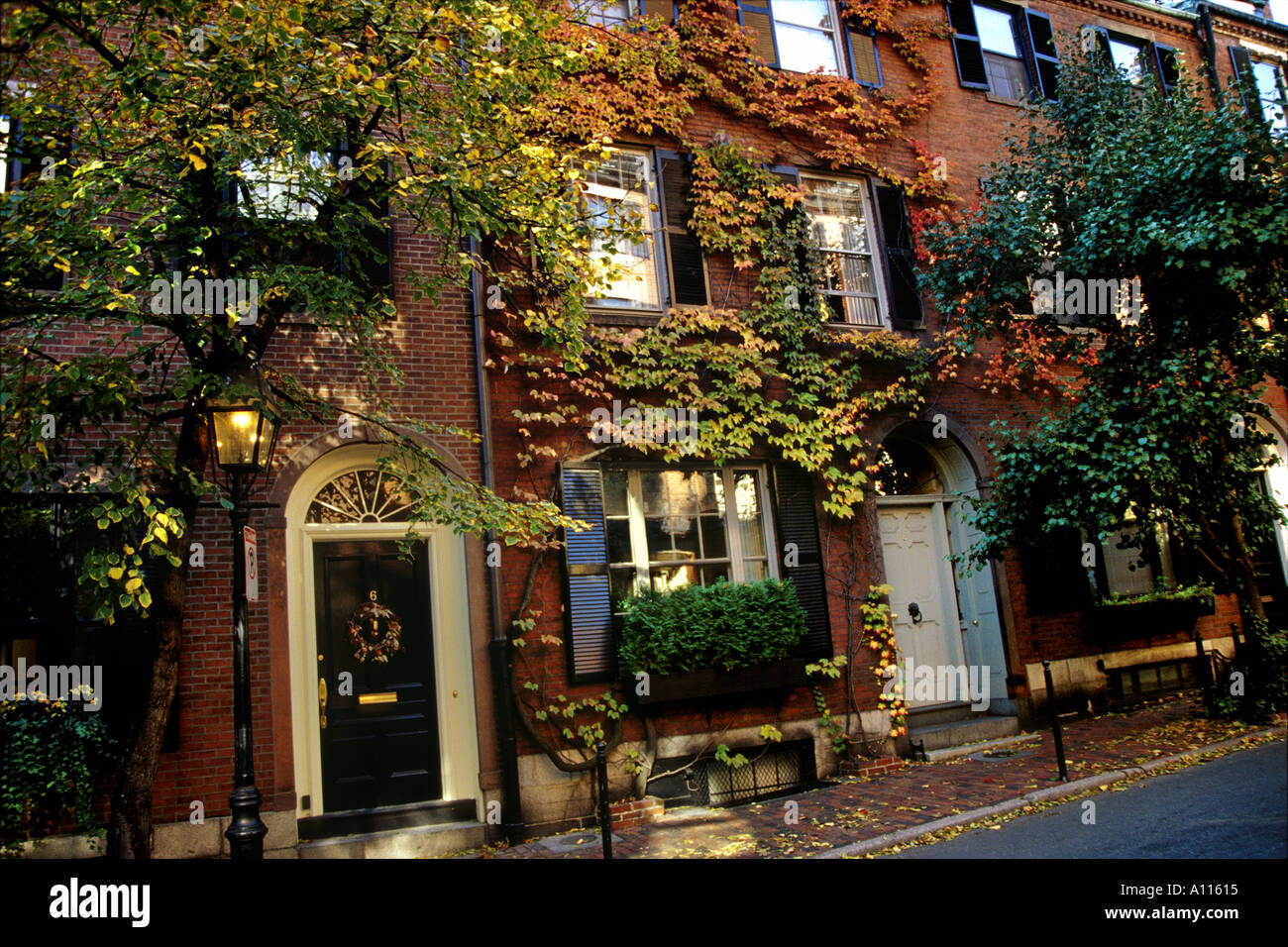 Efeu bedeckt Häuser auf Cedar Street Beacon Hill District Boston Massachusetts, USA Stockfoto