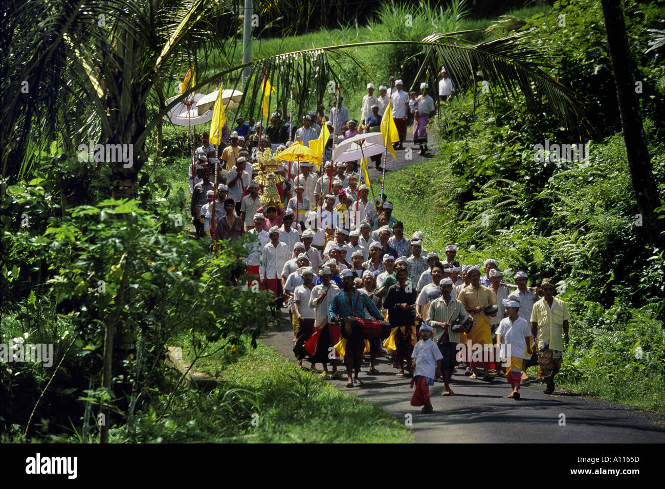 Feierliche Prozession Reisfelder Bali Indonesien Reis Stockfoto