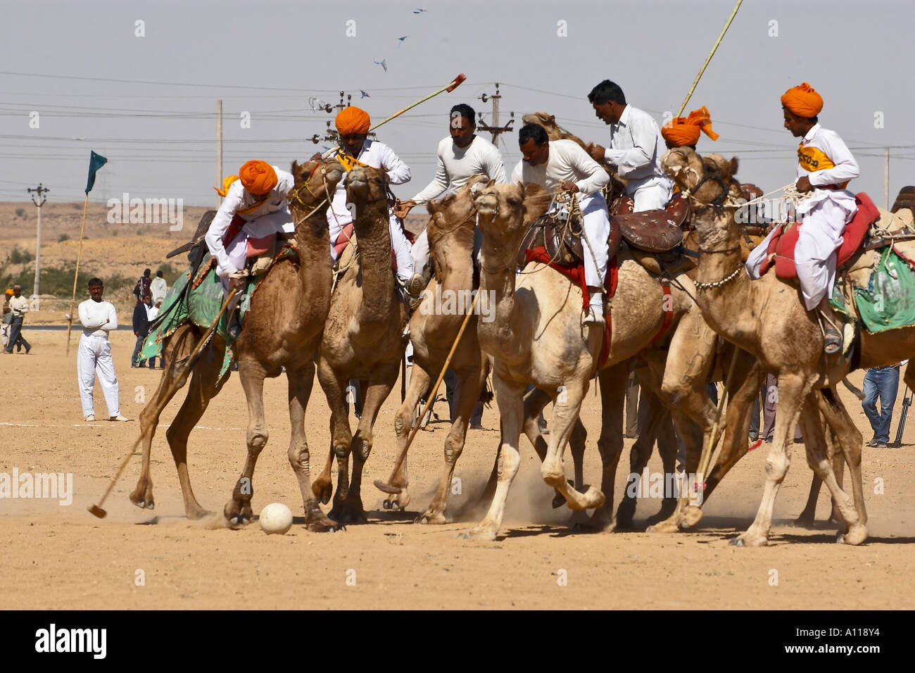 Kamel Polo Spiel Desert Festival Jaisalmer Rajasthan Indien Stockfoto