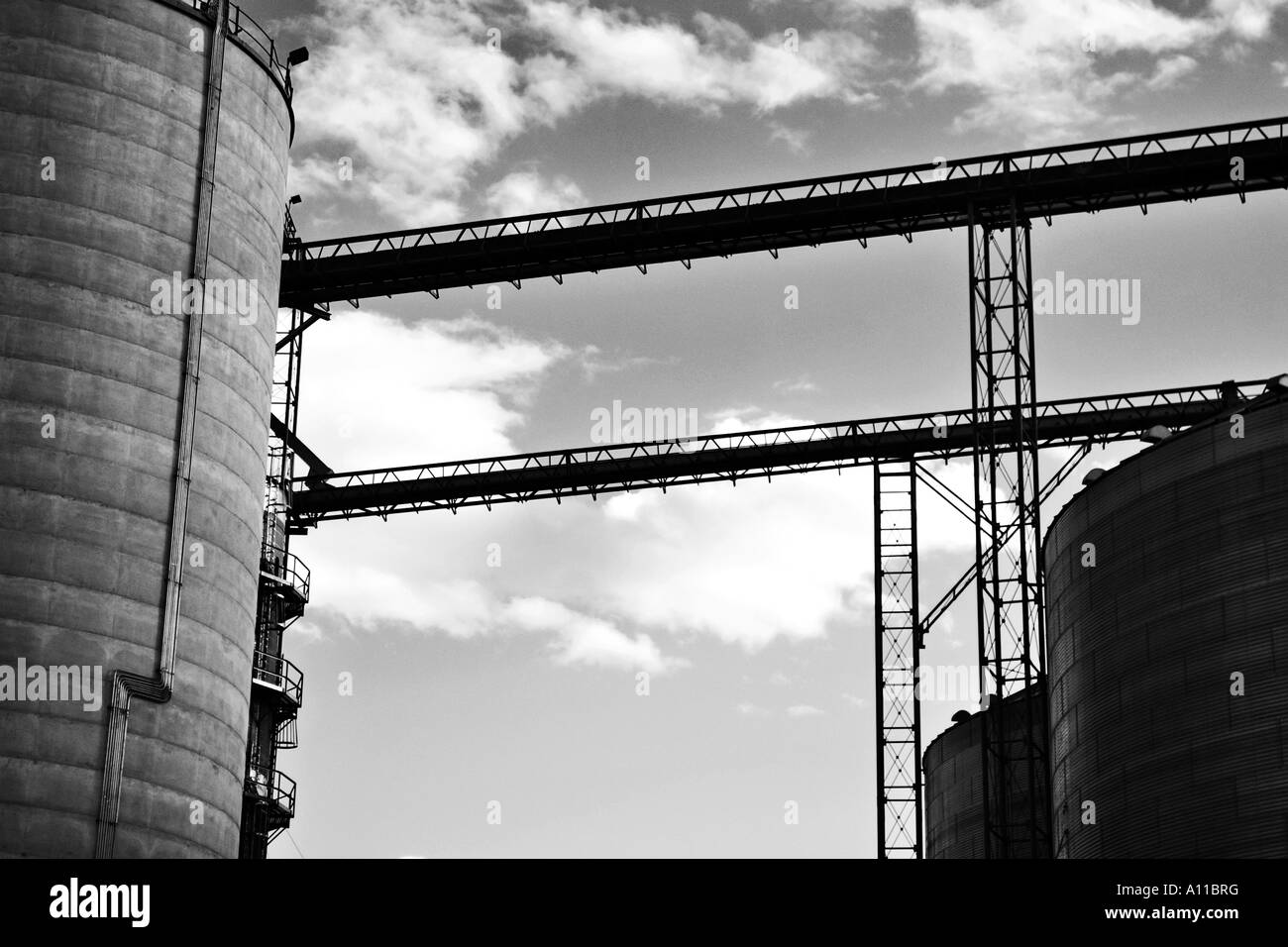 Getreidesilos Stockfoto