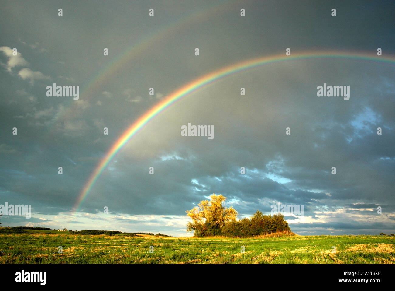 Doppelter Regenbogen leuchten hell über einem französischen Stockfoto