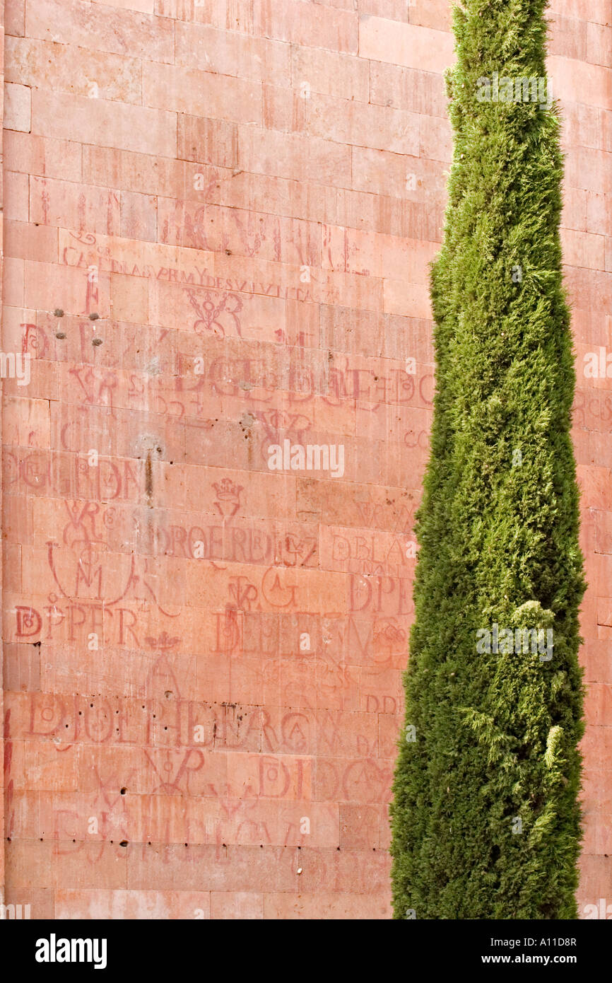 Signaturen auf Salamanca Wände (Kastilien-Leon - Spanien). Signaturen Sur Les Murs de Antworten (Kastilien und León, Spanien). Stockfoto