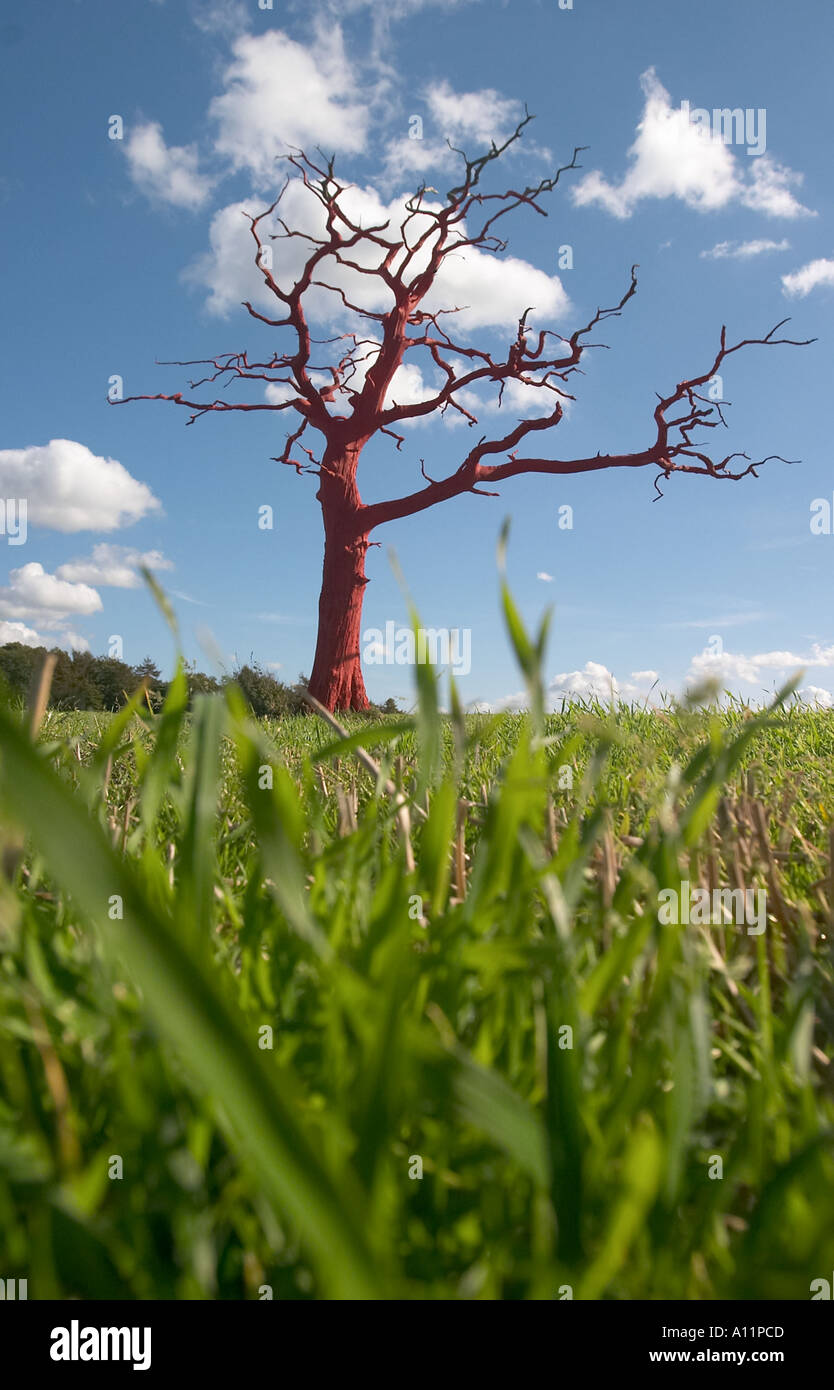 Ein toter Baum, die leuchtend rot in einem Bauern Feld bei Junction 8 von der M25 in Reigate Hill gepflanzt wurde der Künstler auf die Idee kam wh Stockfoto