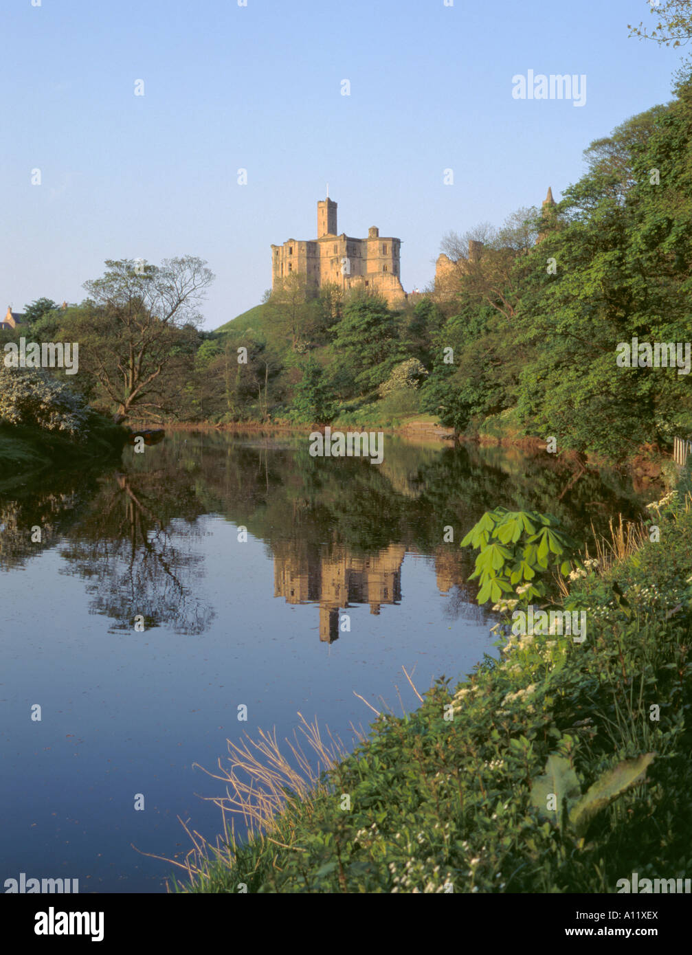 Warkworth Castle über den Fluß Coquet gesehen auf einem noch Sommerabend, warkworth, Northumberland, England, UK. Stockfoto