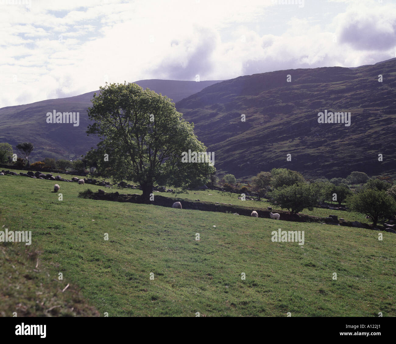 Einer der malerischsten Landschaften in Irland in der Nähe von Kenmare County Kerry nahe dem Ring of Kerry und Berara Stockfoto